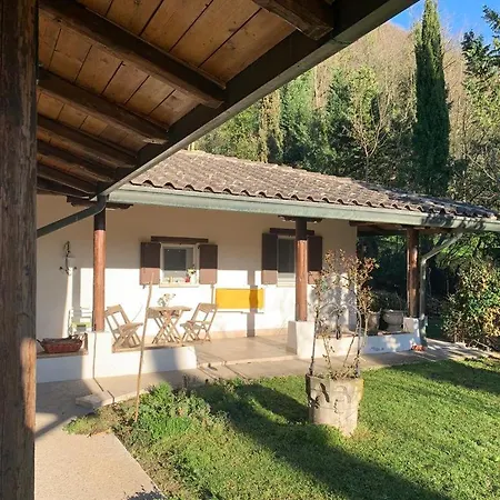 Il Bagolaro