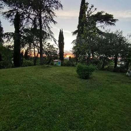 Il Bagolaro